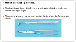  Mandibular Root Tip Forceps.
 The handles of the root tip forceps are straight,while the beaks are
curved at a right angle.
 Their ends are very narrow and meet at the tip when the forceps are
closed
 