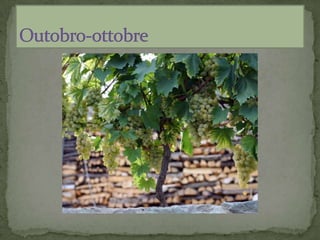 Armanac - calendario