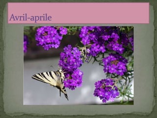 Armanac - calendario