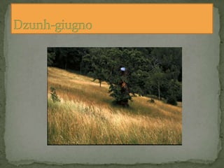 Armanac - calendario