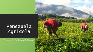 Venezuela
Agrícola
Armando Nerio Guedez Rodríguez
 