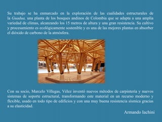 Su trabajo se ha enmarcado en la exploración de las cualidades estructurales de
la Guadua, una planta de los bosques andinos de Colombia que se adapta a una amplia
variedad de climas, alcanzando los 15 metros de altura y una gran resistencia. Su cultivo
y procesamiento es ecológicamente sostenible y es una de las mejores plantas en absorber
el dióxido de carbono de la atmósfera.
Con su socio, Marcelo Villegas, Vélez inventó nuevos métodos de carpintería y nuevos
sistemas de soporte estructural, transformando este material en un recurso moderno y
flexible, usado en todo tipo de edificios y con una muy buena resistencia sísmica gracias
a su elasticidad.
Armando Iachini
 