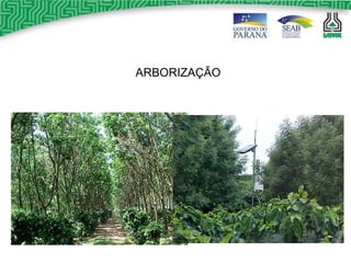 ARBORIZAÇÃO 