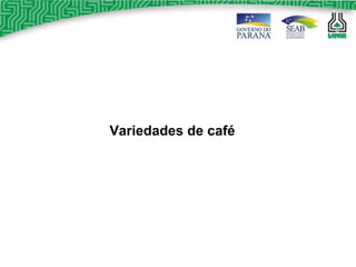 Variedades de café 
