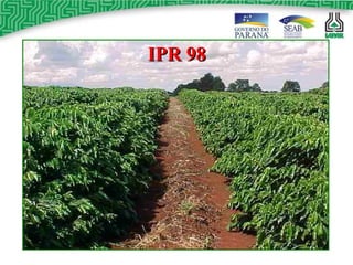 IPR 98 