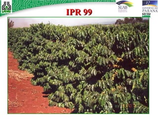 IPR 99 