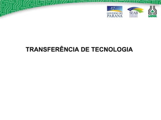 TRANSFERÊNCIA DE TECNOLOGIA 