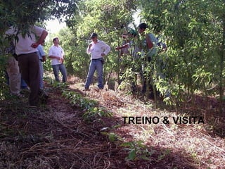 TREINO & VISITA 