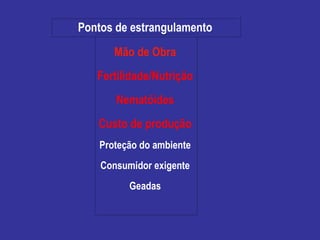 Mão de Obra Fertilidade/Nutrição Nematóides Custo de produção Proteção do ambiente Consumidor exigente Geadas Pontos de estrangulamento 