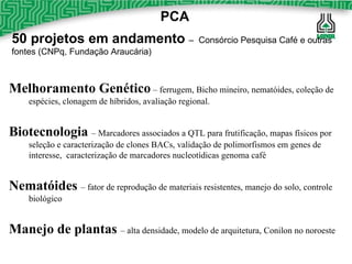 50 projetos em andamento  –  Consórcio Pesquisa Café e outras fontes (CNPq, Fundação Araucária) PCA Melhoramento Genético  – ferrugem, Bicho mineiro, nematóides, coleção de espécies, clonagem de híbridos, avaliação regional. Biotecnologia  – Marcadores associados a QTL para frutificação, mapas físicos por seleção e caracterização de clones BACs, validação de polimorfismos em genes de interesse,  caracterização de marcadores nucleotídicas genoma café  Nematóides  – fator de reprodução de materiais resistentes, manejo do solo, controle biológico Manejo de plantas  – alta densidade, modelo de arquitetura, Conilon no noroeste 