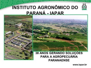 INSTITUTO AGRONÔMICO DO
      PARANÁ - IAPAR




        38 ANOS GERANDO SOLUÇÕES
           PARA A AGROPECUÁRIA
               PARANAENSE
                          www.iapar.br
 