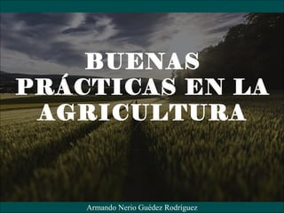 BUENAS
PRÁCTICAS EN LA
AGRICULTURA
Armando Nerio Guédez Rodríguez
 