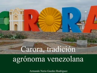 Carora, tradición
agrónoma venezolana
Armando Nerio Guedez Rodríguez
 
