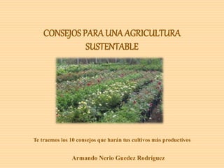 CONSEJOS PARA UNA AGRICULTURA
SUSTENTABLE
Te traemos los 10 consejos que harán tus cultivos más productivos
Armando Nerio Guedez Rodríguez
 
