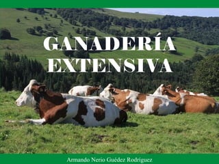GANADERÍA
EXTENSIVA
Armando Nerio Guédez Rodríguez
 