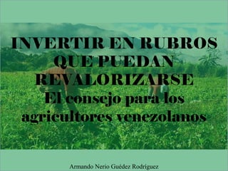 INVERTIR EN RUBROS
QUE PUEDAN
REVALORIZARSE
El consejo para los
agricultores venezolanos
Armando Nerio Guédez Rodríguez
 