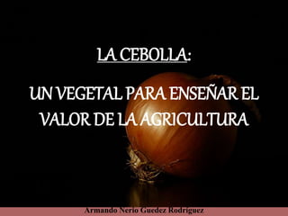 LA CEBOLLA:
UN VEGETAL PARA ENSEÑAR EL
VALOR DE LA AGRICULTURA
Armando Nerio Guedez Rodríguez
 