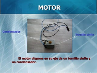 MOTOR El motor dispone en su eje de un tornillo sinfín y un condensador. Condensador Tornillo   sinfín 
