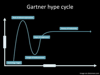 Gartner hype cycle
image via datameer.com
 