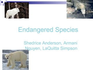 Endangered Species Shedrice Anderson, Armani Nguyen, LaQuitta Simpson 