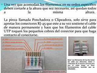 Una vez que acomodan los filamentos en su orden especifico
 deben cortarle a la altura que sea necesario, así quedan todos
 a               la                misma                altura.

 La pinza llamada Ponchadora o Clipeadora, solo sirve para
 apretar los conectores RJ-45 que este a su vez sostiene el cable
 de manera permanente y hace que los filamentos del cable
 UTP toquen los pequeños cobres del conector para que haga
 contacto al conectarse.




                                             Nota: Los filamentos de los dos lados
                                             del cable son diferentes, deben ir
                                             ordenados de la manera correcta para
                                             que el cable tengo un buen
                                             funcionamiento, recordar que es
                                             CRUZADO.
 