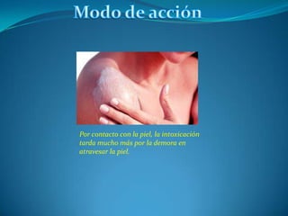 Por contacto con la piel, la intoxicación
tarda mucho más por la demora en
atravesar la piel.
 