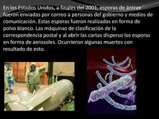 En los Estados Unidos, a finales del 2001, esporas de ántrax
fueron enviadas por correo a personas del gobierno y medios de
comunicación. Estas esporas fueron realizadas en forma de
polvo blanco. Las máquinas de clasificación de la
correspondencia postal y al abrir las cartas disperso los esporas
en forma de aerosoles. Ocurrieron algunas muertes con
resultado de esto.
 