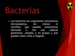 Bacterias


Las bacterias son organismos unicelulares
microscópicos,
sin
núcleo
ni
clorofila,
que
pueden
presentarse
desnudas
o
con
una
cápsula
gelatinosa, aisladas o en grupos y que
pueden tener cilios o flagelos.

 