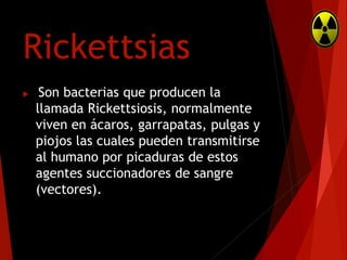 Rickettsias


Son bacterias que producen la
llamada Rickettsiosis, normalmente
viven en ácaros, garrapatas, pulgas y
piojos las cuales pueden transmitirse
al humano por picaduras de estos
agentes succionadores de sangre
(vectores).

 