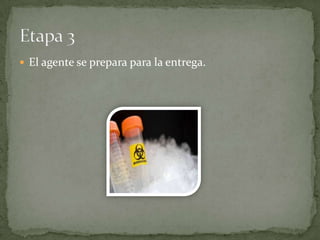  El agente se prepara para la entrega.

 