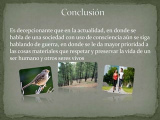 Es decepcionante que en la actualidad, en donde se
habla de una sociedad con uso de consciencia aún se siga
hablando de guerra, en donde se le da mayor prioridad a
las cosas materiales que respetar y preservar la vida de un
ser humano y otros seres vivos

 