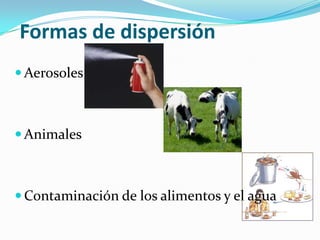 Formas de dispersión
 Aerosoles



 Animales



 Contaminación de los alimentos y el agua
 