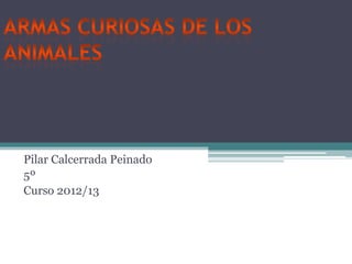 Pilar Calcerrada Peinado
5º
Curso 2012/13
 