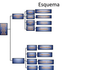 Esquema
 