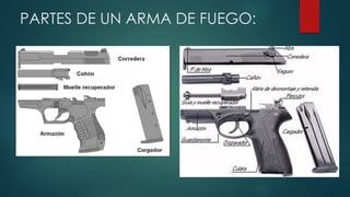 PARTES DE UN ARMA DE FUEGO:
 
