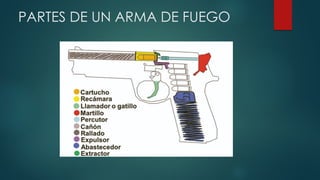PARTES DE UN ARMA DE FUEGO
 