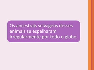 Os ancestrais selvagens desses
animais se espalharam
irregularmente por todo o globo
 