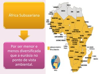 África Subsaariana




 Por ser menor e
menos diversificada
 que a eurásia no
  ponto de vista
   ambiental.
 