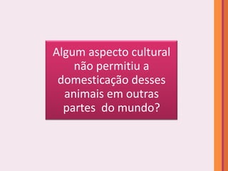 Algum aspecto cultural
    não permitiu a
 domesticação desses
  animais em outras
  partes do mundo?
 