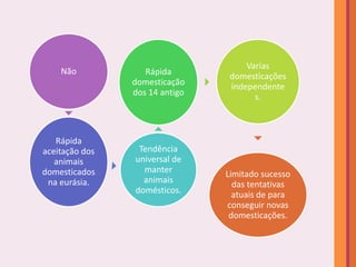 Varias
    Não            Rápida        domesticações
                domesticação     independente
                dos 14 antigo          s.



   Rápida
aceitação dos    Tendência
   animais      universal de
domesticados      manter        Limitado sucesso
 na eurásia.      animais         das tentativas
                domésticos.       atuais de para
                                conseguir novas
                                 domesticações.
 