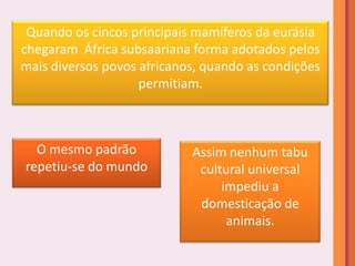 Quando os cincos principais mamíferos da eurásia
chegaram África subsaariana forma adotados pelos
mais diversos povos africanos, quando as condições
                    permitiam.



  O mesmo padrão            Assim nenhum tabu
repetiu-se do mundo          cultural universal
                                 impediu a
                             domesticação de
                                  animais.
 
