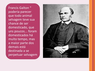Francis Galton “
poderia parecer
que todo animal
selvagem teve sua
chance de ser
domesticado, que
uns poucos... foram
domesticados há
muito tempo, mas
a maior parte dos
demais está
destinada a se
perpetuar selvagem
 