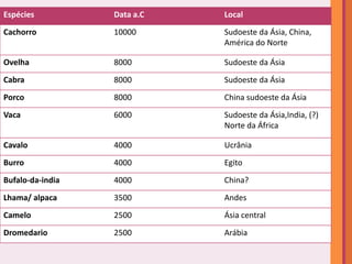 Espécies          Data a.C   Local
Cachorro          10000      Sudoeste da Ásia, China,
                             América do Norte

Ovelha            8000       Sudoeste da Ásia
Cabra             8000       Sudoeste da Ásia
Porco             8000       China sudoeste da Ásia
Vaca              6000       Sudoeste da Ásia,India, (?)
                             Norte da África

Cavalo            4000       Ucrânia
Burro             4000       Egito
Bufalo-da-india   4000       China?
Lhama/ alpaca     3500       Andes
Camelo            2500       Ásia central
Dromedario        2500       Arábia
 
