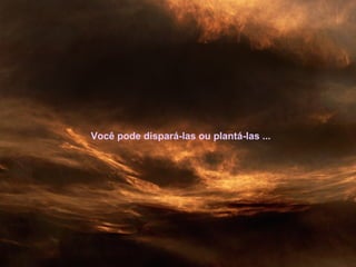 Você pode dispará-las ou plantá-las ...
 