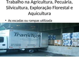 Trabalho na Agricultura, Pecuária,
Silvicultura, Exploração Florestal e
Aquicultura
• As escadas ou rampas utilizada
 