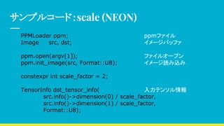 サンプルコード：scale (NEON)
PPMLoader ppm; ppmファイル
Image src, dst; イメージバッファ
ppm.open(argv[1]); ファイルオープン
ppm.init_image(src, Format::U8); イメージ読み込み
constexpr int scale_factor = 2;
TensorInfo dst_tensor_info( 入力テンソル情報
src.info()->dimension(0) / scale_factor,
src.info()->dimension(1) / scale_factor,
Format::U8);
 