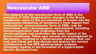 Neovascular AMD
• The hallmark of the neovascular form of AMD is the
presence of CNV. Degenerative changes in the Bruch
membrane—such as the accumulation of drusen and the
progressive thickening of membrane’s inner aspect that
characterize nonneovascular form of AMD—can be
associated with a proangiogenic environment, including
neovascularization that originates from the
choriocapillaris and perforates the outer aspect of the
Bruch membrane. These new vessels are accompanied by
fibroblasts, resulting in a fibrovascular complex that can
leak and bleed and may disrupt and destroy the normal
architecture of the RPE–photoreceptor complex,
ultimately leading to the formation of a hypertrophic
fibrotic disciform scar.
 