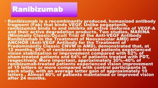 Ranibizumab
• Ranibizumab is a recombinantly produced, humanized antibody
fragment (Fab) that binds VEGF. Unlike pegaptanib,
ranibizumab binds to and inhibits all active isoforms of VEGF-A
and their active degradation products. Two studies, MARINA
(Minimally Classic/Occult Trial of the Anti-VEGF Antibody
Ranibizumab in the Treatment of Neovascular AMD) and
ANCHOR (Anti-VEGF Antibody for the Treatment of
Predominantly Classic CNVM in AMD), demonstrated that, at
12 months, 95% of ranibizumab-treated patients experienced
vision stabilization or improvement compared with 62% of
sham-treated patients and 64% of patients treated with PDT,
respectively. More important, approximately 30%–40% of
ranibizumab-treated patients experienced vision improvement
of 15 letters or more compared with control participants in
each study, with an average letter gain of approximately 10
letters . Almost 80% of patients maintained or improved vision
after 24 months.
 