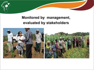 Monitoring and evaluation at the Africa RISING ESA project level