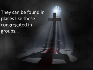 They can be found in places like these congregated in groups…